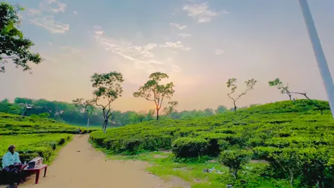 এই গান দিয়েই বাংলা মিউজিক এ্যালবামের গান শোনা শুরু হয়🫶🖤
