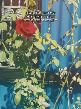 হে আল্লাহ আমাদের স্বামী -স্ত্রীর ভালোবাসায় যেনো কারো কু নজর না লাগে..!!🥹💗 @🍁🦋AyOn HaSaN🦋🍁  #creatorsearchinsight2025 #unfrezzmyaccount #fyp #A🔐S #tiktokcontentcreator