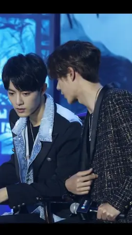 #yizhan💚❤️ #wangyibo王一博 #xiaozhan #🐰🦁 #fyp 