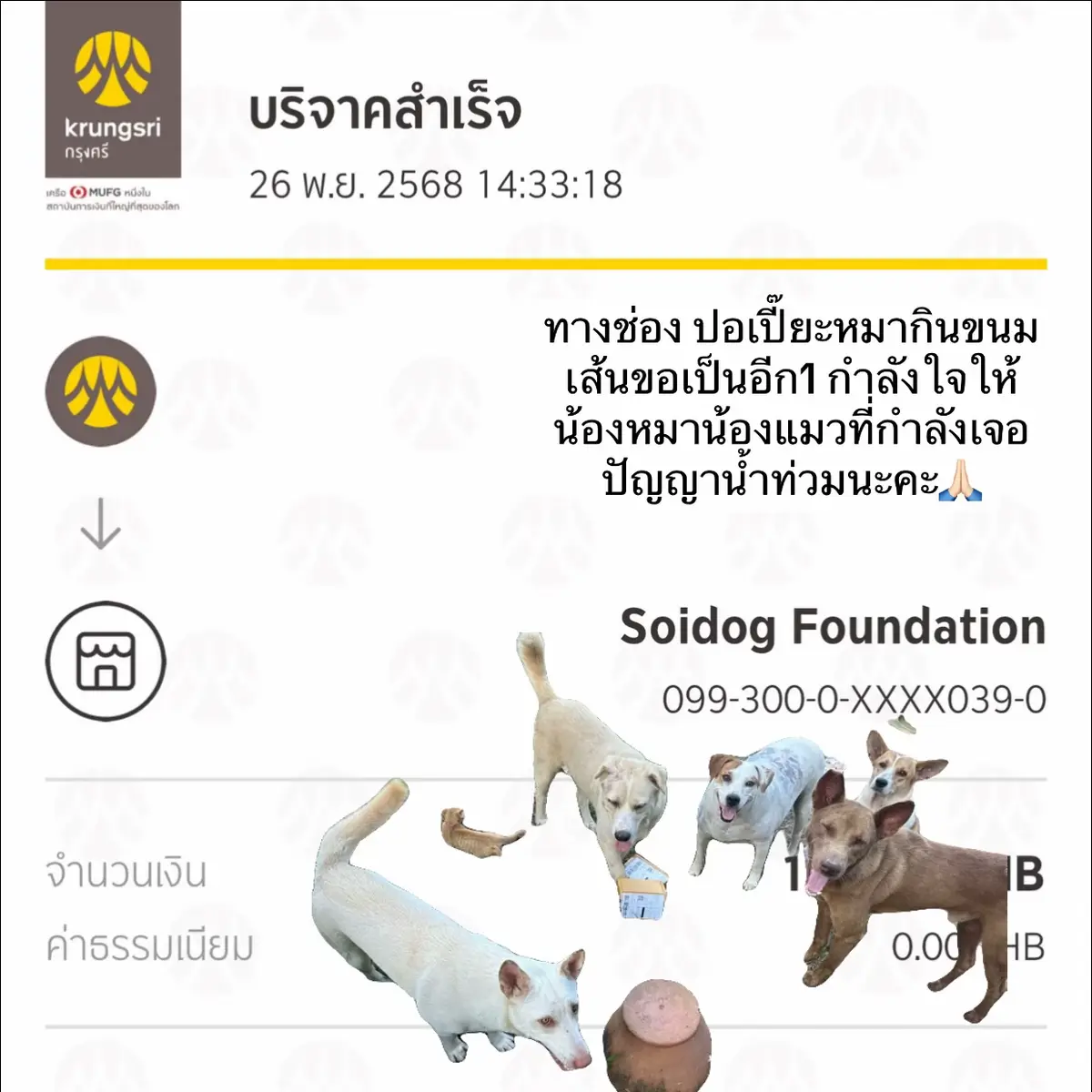 เป็นกำลังใจให้นะคะ ถึงจะมีไม่มากแต่อยากช่วยค่ะ❤️🙏🏻