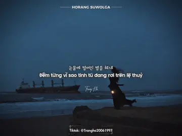 ｜HORANG SUWOLGA REMIX｜“흐르는 저 하늘을 물어 채는 범처럼。。。“ #horangsuwolga #kpop #trending #douyin #viral 