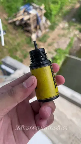 Essen sultan buat ikan mas lomba berulah kembali bosku #essen #wibgajian #ikanmas #essen #fyp 