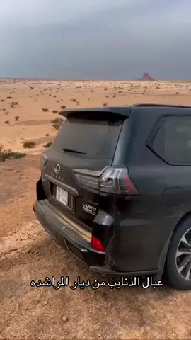 #المراشده #حماية_الطرقا #الديار #الروقه 