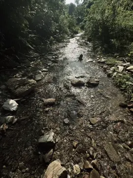 “看着日落我又想起了她。对岸的女孩还会记得我吗？