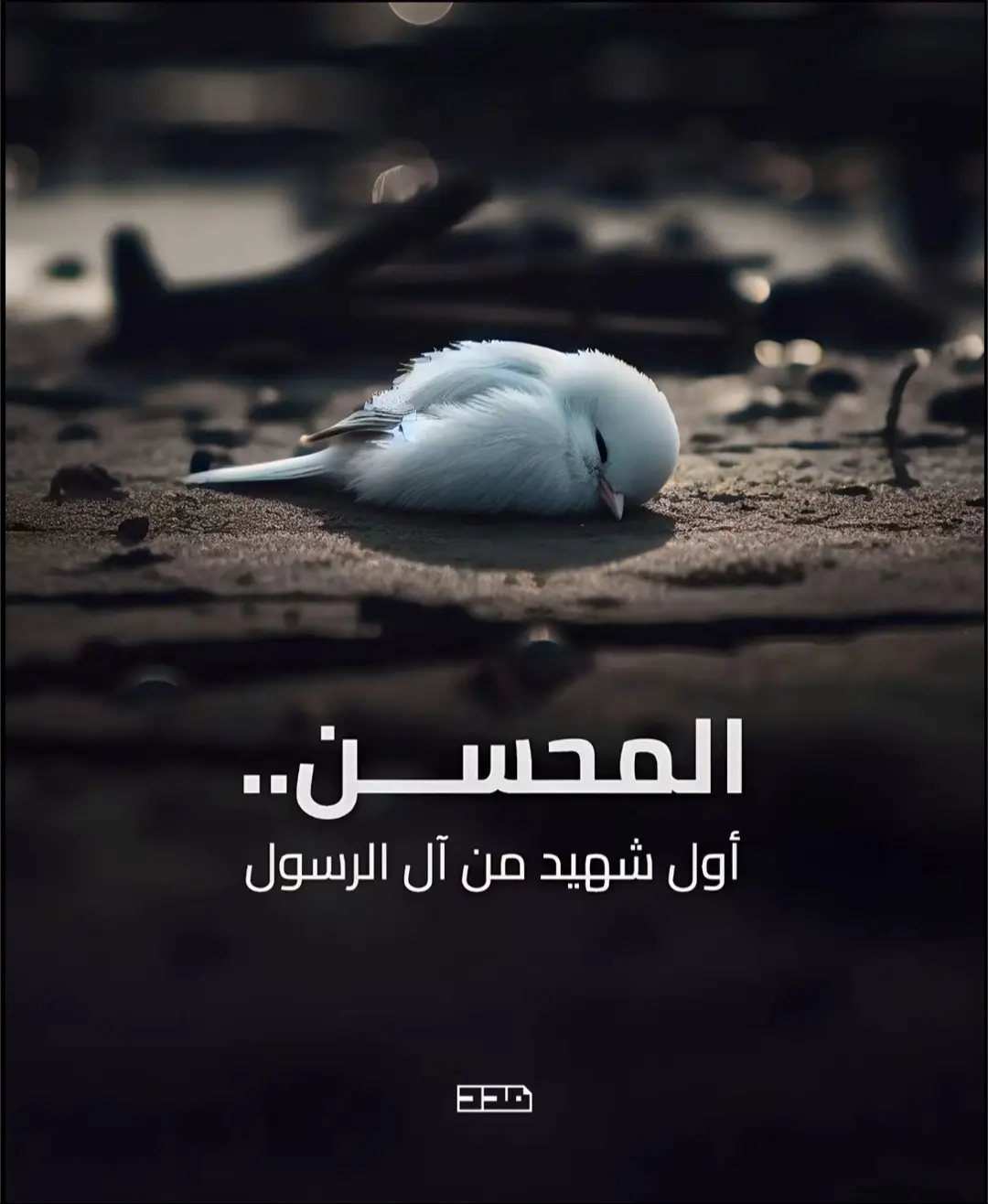 #علي_بن_ابي_طالب #الهمه_صلي_على_محمد_وال_محمد #اهلُ_البَيت #القرآن_الكريم #مسجد_الزهراء 