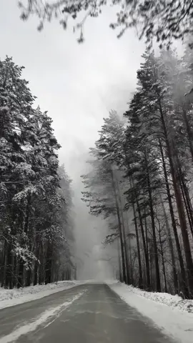 #ржунемогууу #воттак #тикток #всемдобра #ржунемогу