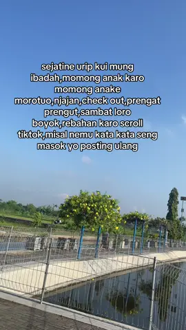 mesti ora muk aku,do ngakuo 😂 #katakata #katakatajawa #4aupage 