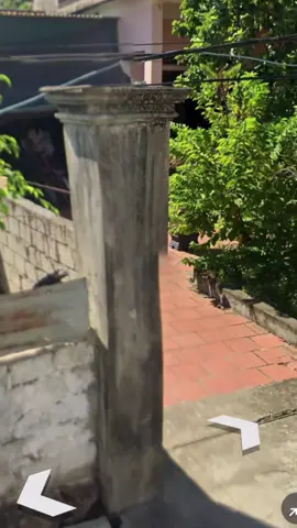 CT13_v56 Download for free now