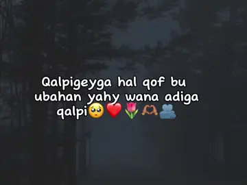 love isaar apoowe 🥺🫂🫶🏽#somalitiktok #fyp #somalitiktok #foryoupage #somalitiktok 