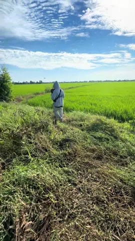 Máy đi đâu là người đi theo tới đó ✈️🌾#truonghuynhnhu #maybaynongnghiep #xuhuong #t50 #foryou 