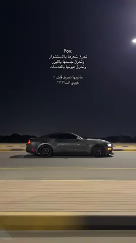 غبي انته؟؟؟ #اكسبلورexplore #موستنج #حنطور 