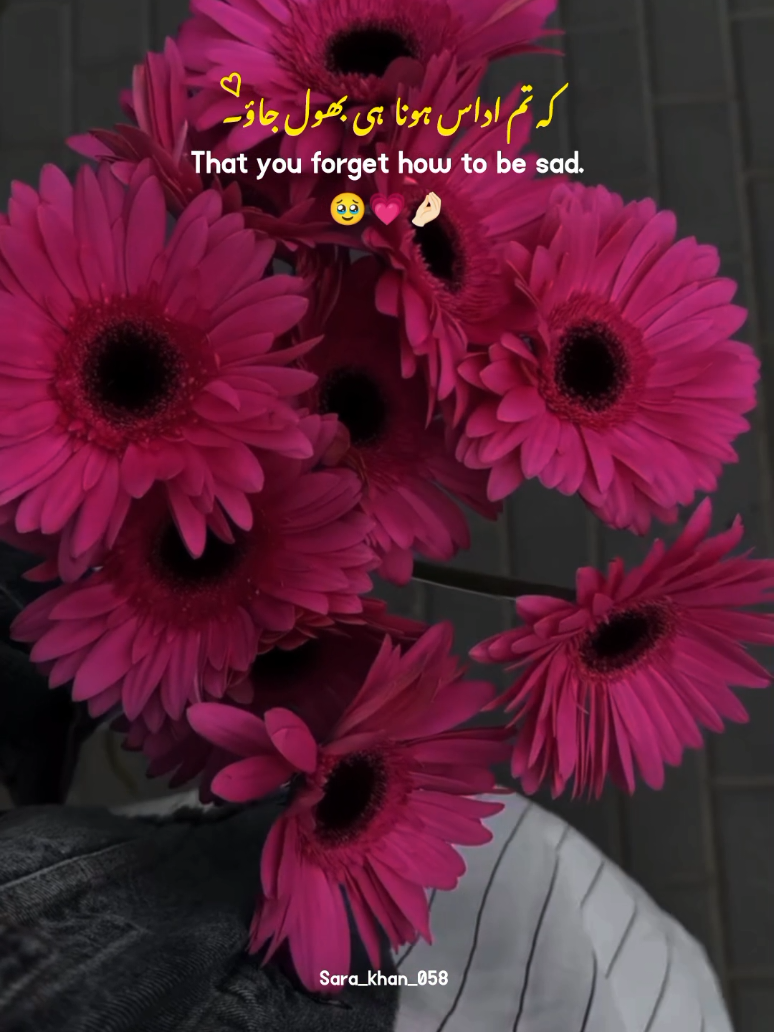 Say Ameen 😊🫶🏻🥀 | | 2026 🤌🏻💗 | | new_status 🎀😍 | | Be Happy ❤️‍🩹🫶🏻😊 | | heart touching lines #2026 #hearttouching #lines #dontunderreviewmyvideo #fyp @TikTok @tiktok creators @tiktok pakistan official 