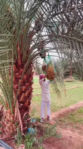 بعض الليالي ما مرّتني مرور الكرام  ‏أحداثها محزنه وأمراضها مزمنه ‏أنا الحزين .. الحزين اللي عليه الكلام  ‏وانا الغريب .. الغريب المغترب بـ وطنه #اكسبلورexplore #نجران #4u 