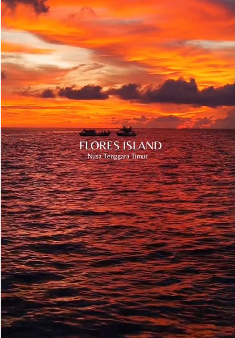 Flores rumah ternyaman 🛖🍃