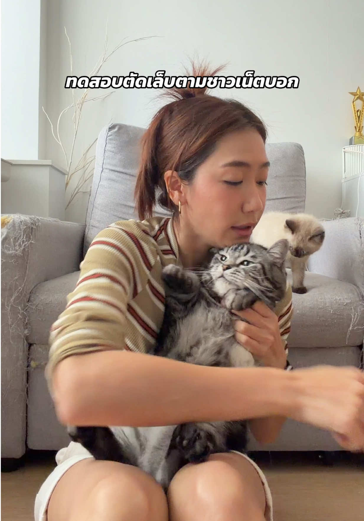 ไม่ได้ผลกับแมวบ้านนี้จ้า