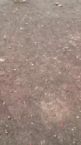 santri sidogiri#katakatamotivasi #sidogiri #fyp 