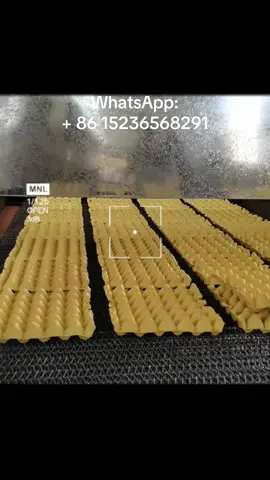 Egg tray machine manufacturer  WhatsApp:+86 15236568291#machine#egg tray machine 