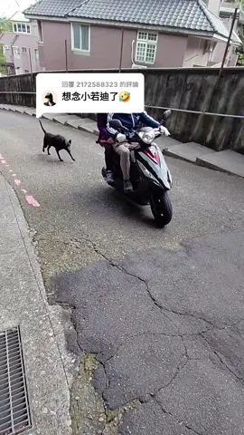 回覆 @2172588323 新技能：鼻子吹泡泡！