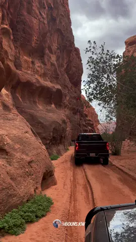 📍الموقع المملكة العربية السعودية 🇸🇦 محمية نيوم 