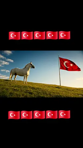 Seninle Övünürüm, Seni Gölgende Hürüm🇹🇷🇹🇷🇹🇷🇹🇷🇹🇷#memleketsevdalısı #vatansevdalısı 