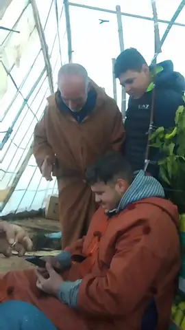 #شعب_الصيني_ماله_حل😂😂 