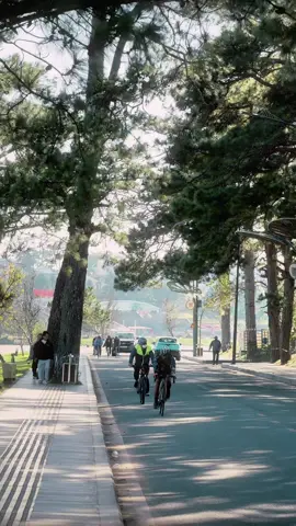 Đà lạt một ngày nắng đẹp dạo quanh vài vòng hồ xuân hương đà lạt #dalat #xuhuong #hoxuanhuong 