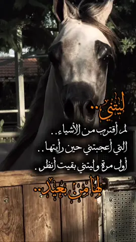 ##ستوريات #تيك_توك #أكسبلورر #فولو #fyp 