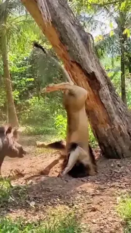 #fyppppppppppppppppppppppp #foryoupage #1million #waqas_kutwaal #growmyaccount 