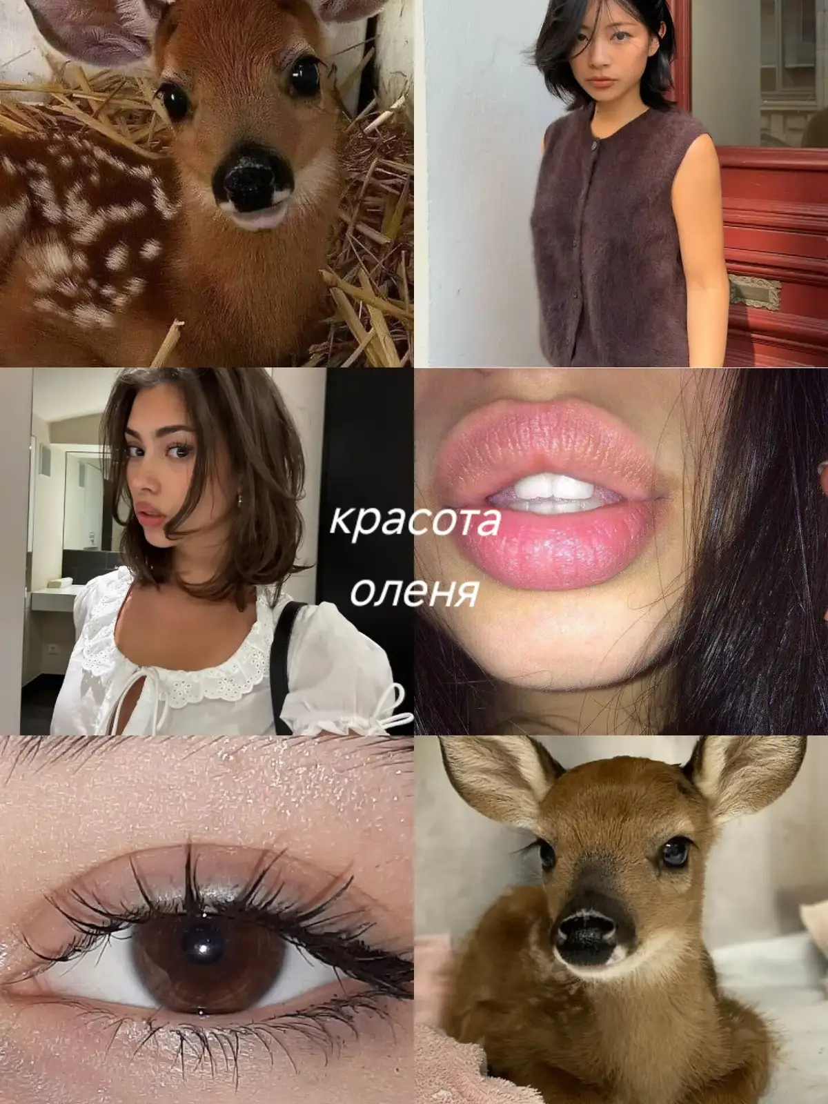 #типкрасоты #красотанавсюголову #природакрасоты #красотаприроды 