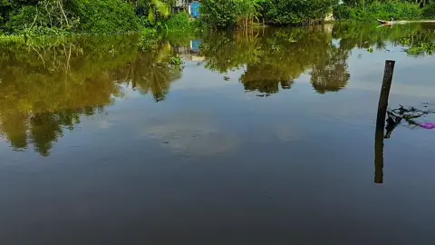 “Xuôi dòng theo con nước thênh thang…#xuhuong #chill #mientay #tamtrang #xh 