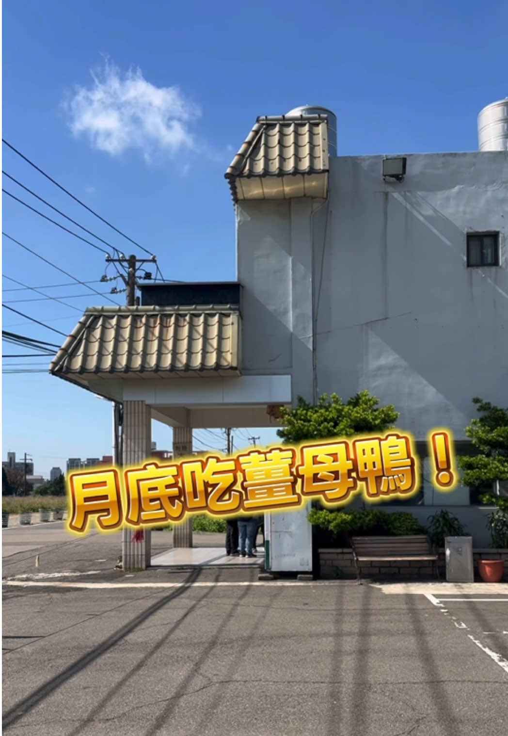 「一盆裝薑母鴨」內用雞油拌飯與麵線免費吃到飽，薑母鴨湯挺養生清淡，沒濃厚老薑與酒味挺適合我，加上附設免費停車場，內用沒規定低消，不想吃薑母鴨，也能點磚窯雞與熱炒～ 桃園市中壢區內定十一街136號 聯絡電話：03-4551427 營業時間：11:00-20:30 #一盆薑母鴨 #艾瑪吃喝玩樂 #大盆薑母鴨 #臺灣番鴨牧場大江店 