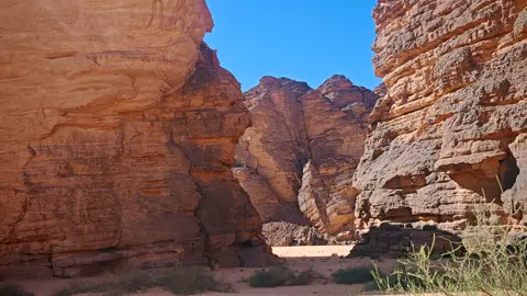 ❤️ Bonjour la team From Djanet 💙 #ايصنديلن #تاسيلينازجر #جانت #djanet #tikoubaouine #tikoubaouine🐫🐪🇩🇿 #tikoubaouin #essandilene #issandilene #tassilinajjer #tassili #circuitdjanet #circuit #tourisme #desert 