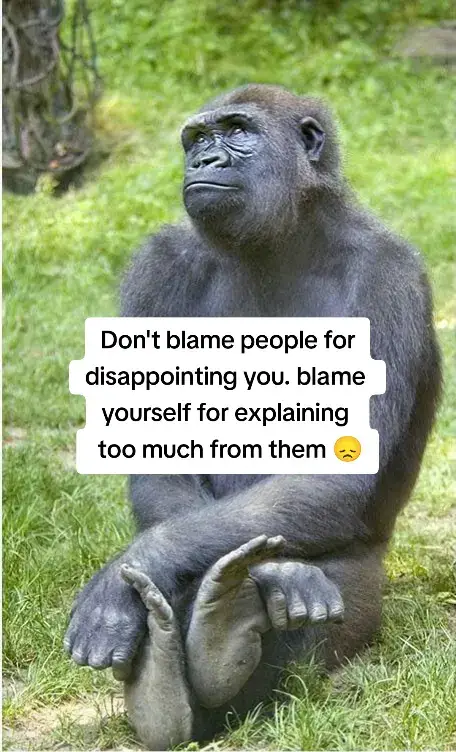 #creatorsearchinsights  #fyp  #viral  #views 