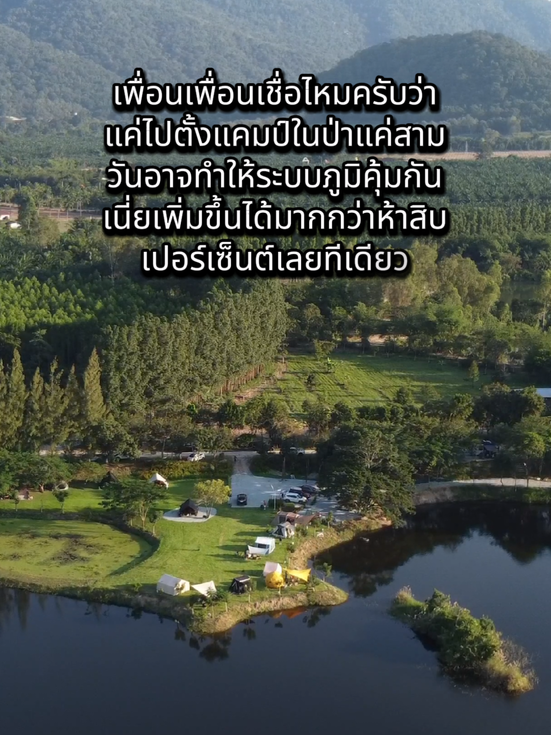 ไปตั้งแคมป์ในป่าแค่สามวันอาจทำให้ระบบภูมิคุ้มกันเพิ่มขึ้นได้มากกว่าห้าสิบเปอร์เซ็นต์เลยทีเดียว #WipasCampTales #วิภาหาเรื่องแคมป์ #แคมป์ปิ้ง #กางเต็นท์ #จุดกางเต็นท์ 