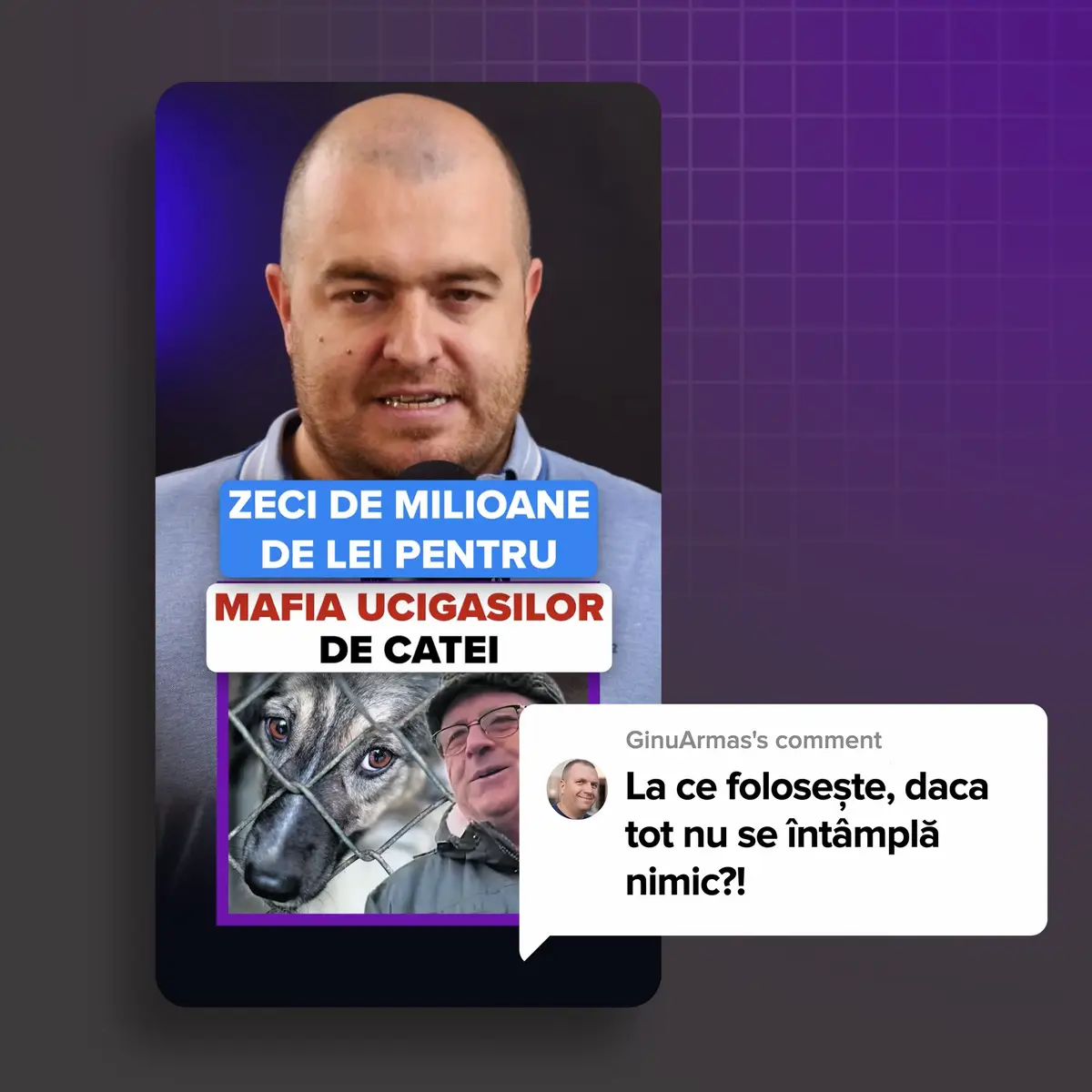 Publicam acum cateva zile materialul despre lagarul de catei de la Balteni.  Milioane de euro a facut familia Paun de pe urma eutanasierii ilegale a zeci de mii de caini care au fost tinuti, in prealabil, in conditii absolut inimaginabile.  Ieri, politia, a inceput destructurarea retelei 