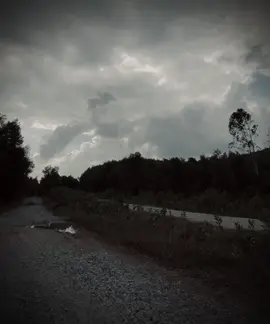 “ 我笑得好多，但係我從來都唔開心。我講好多嘢，但係我從來都唔會講我嘅心。” “ Ta cười rất nhiều, nhưng chưa bao giờ hạnh phúc. Ta nói rất nhiều, nhưng chưa bao giờ nói về trái tim của mình. “