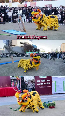 Festival Okayama 23/11.#Okayama #festival #lansurongvietnam 