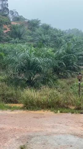 🌧️#fypシ゚ #storyrantau 