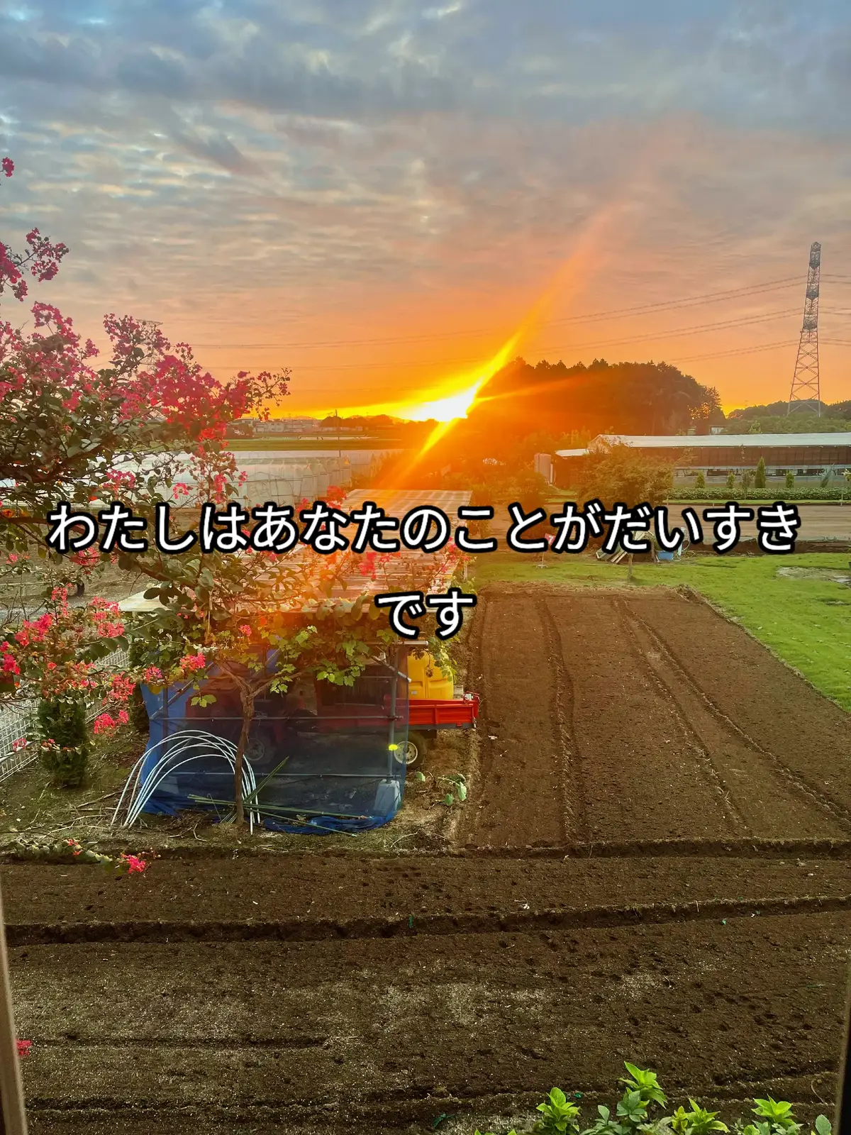 #nihongo#日本語#hiragana#japan