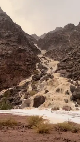 #البدع_حقل_ضباء_تبوك_نيوم #تبوك #ا 