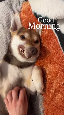 The best way to start any day💚