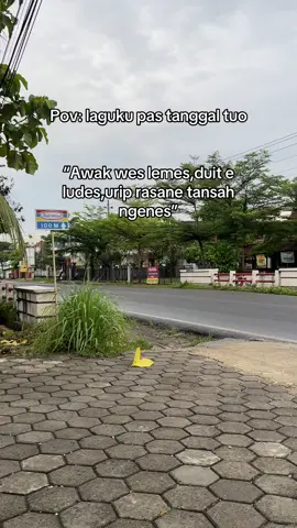 Jane sasinopo iki #ludes #fyp #beranda 