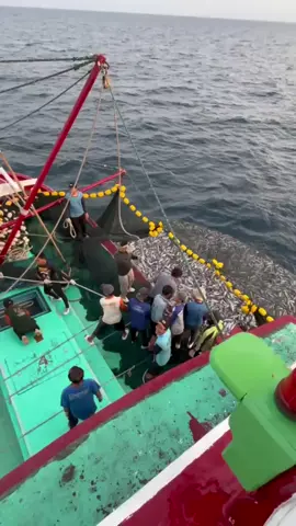 PESONA SAK PAJARAN 2 M WO #GUNUNGBARU #gunungbaru #pintar #fyp #fypシ 