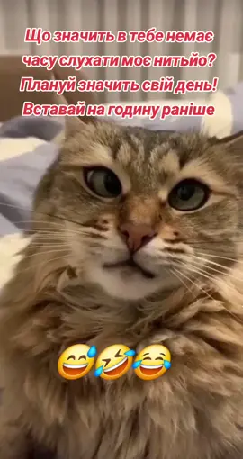 #смішно #позитив #приколи #характер #такая 