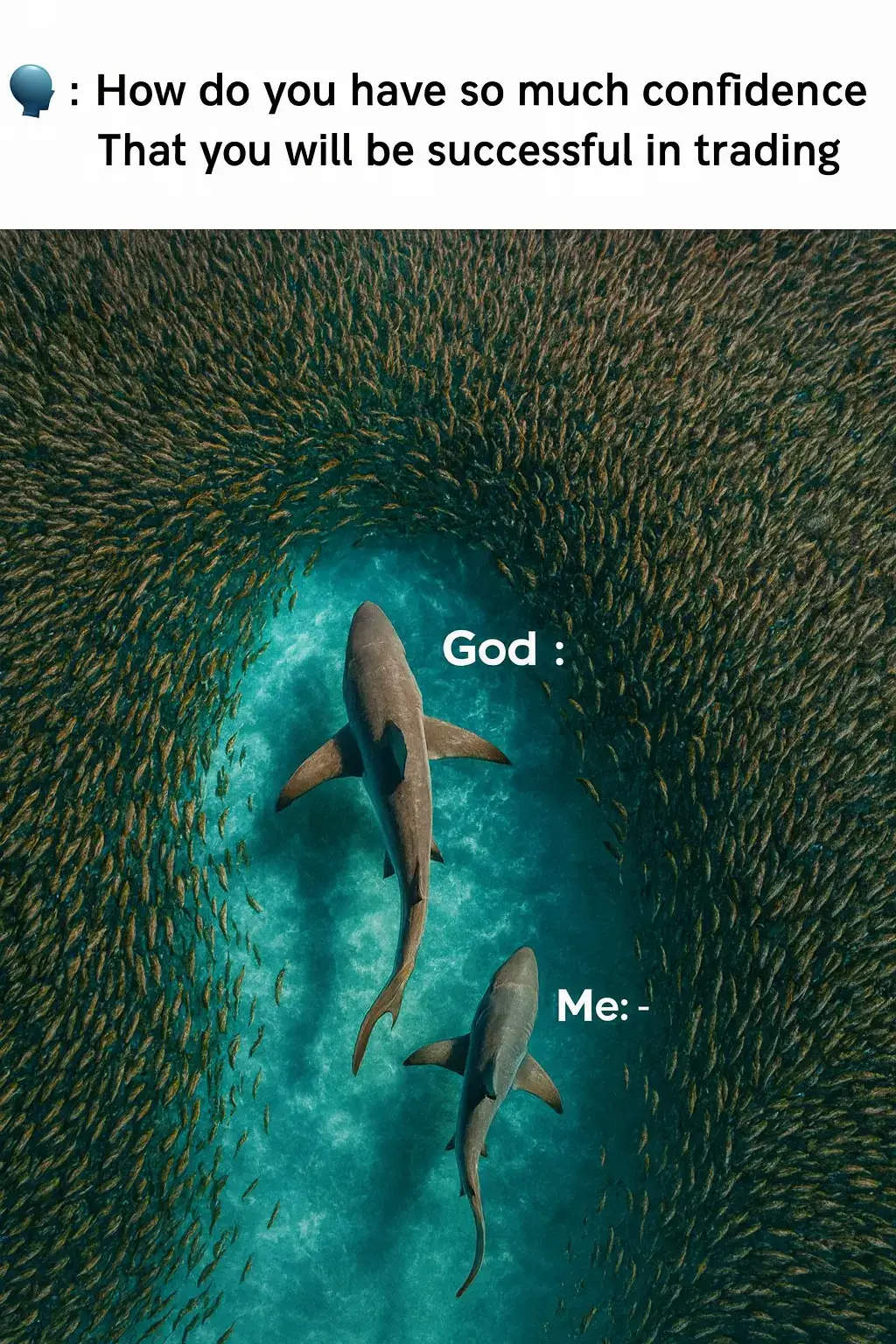 #Trading #tradingtips #mindset #mindsetmotivation #fyp 