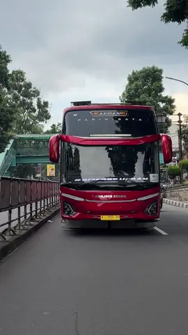 new consep kaesang🤩 @Sanjaya trans official #basuri #ngoyodbus 