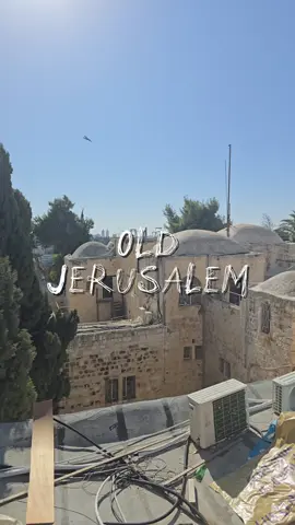 There’s something about the Old City… The mix of voices, the smells of fresh sweets, the echoes of mosques and churches, kids running between ancient stones — it all reminds you that this place has a heartbeat of its own. A vibe that makes you slow down, breathe deeper, and feel a little more human again.✨