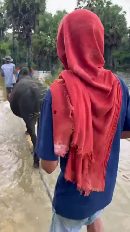 #เจอกันวันที่6สนามสิงหนคร #ดีเขาดีเราวัดกันเเลถิ#ดุกด้างองค์ชายเล็ก2499แรมโบ้ 