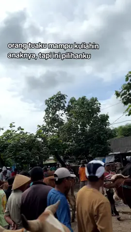 😔#brandafypシ #fypシ゚ #berkahpesonalembufarm #lancarrezeki #peternaksapiindonesia 