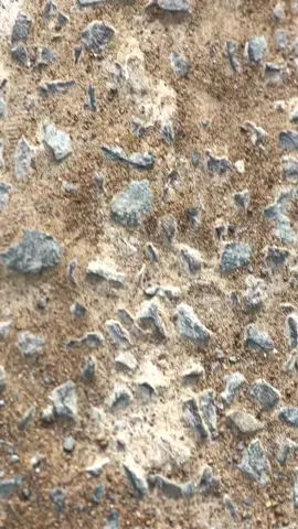 💚🖤#yamahaalfa #2stroke #alfaagstyle 